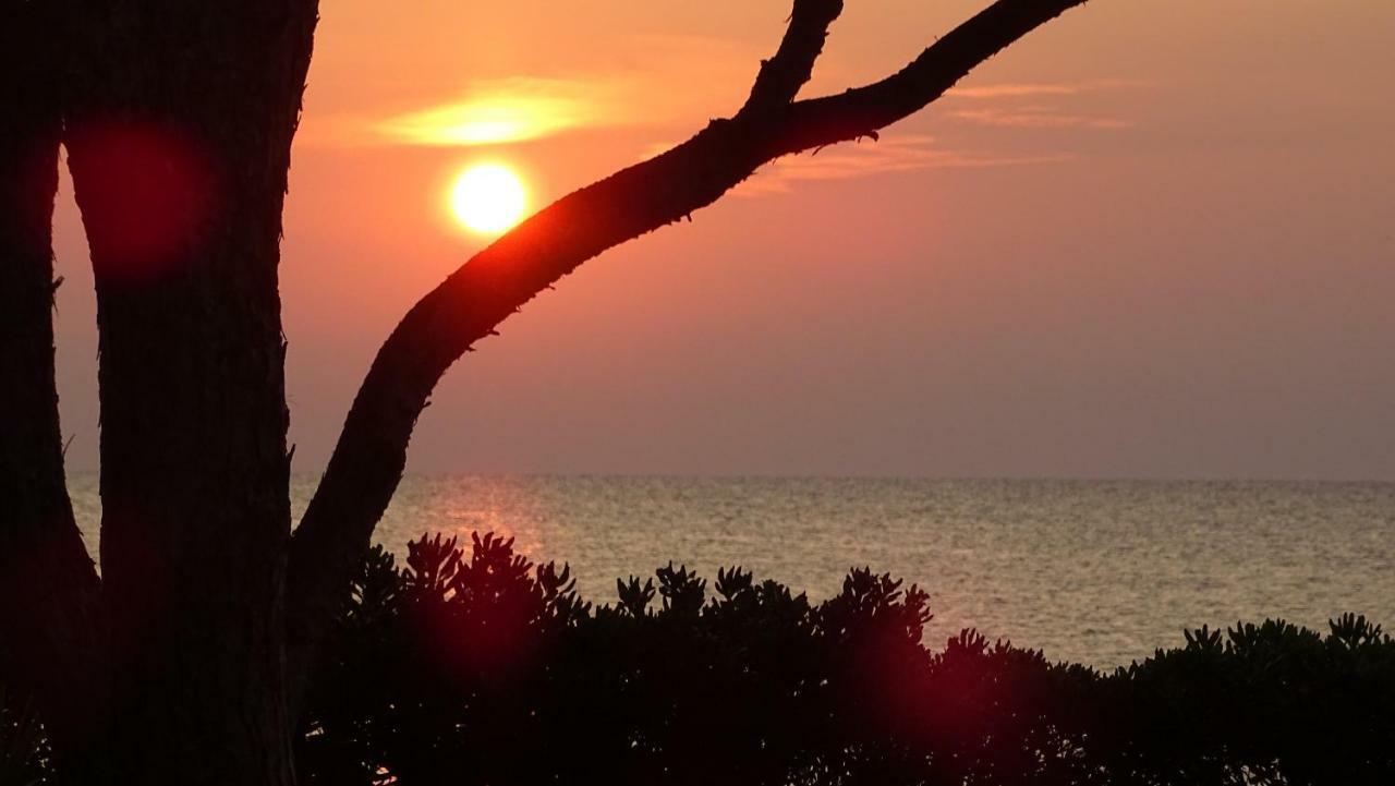 Budoni - The House Of The Rising Sun Екстер'єр фото